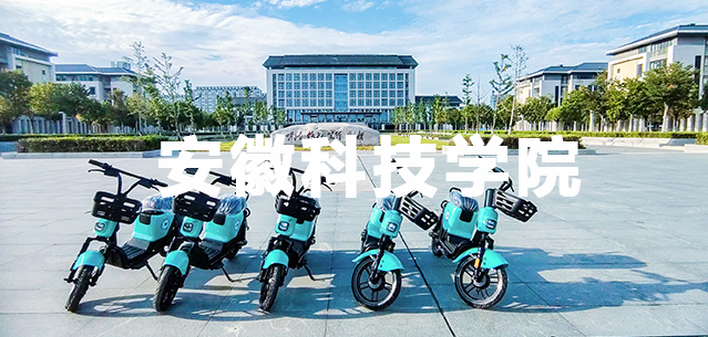 安徽科技学院